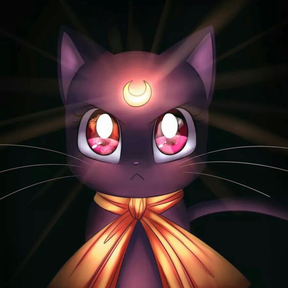 Meet your Posher, Rosemary